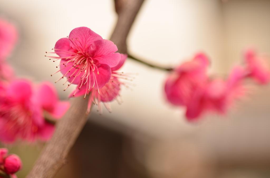 Biwako House Villa Ōtsu Luaran gambar